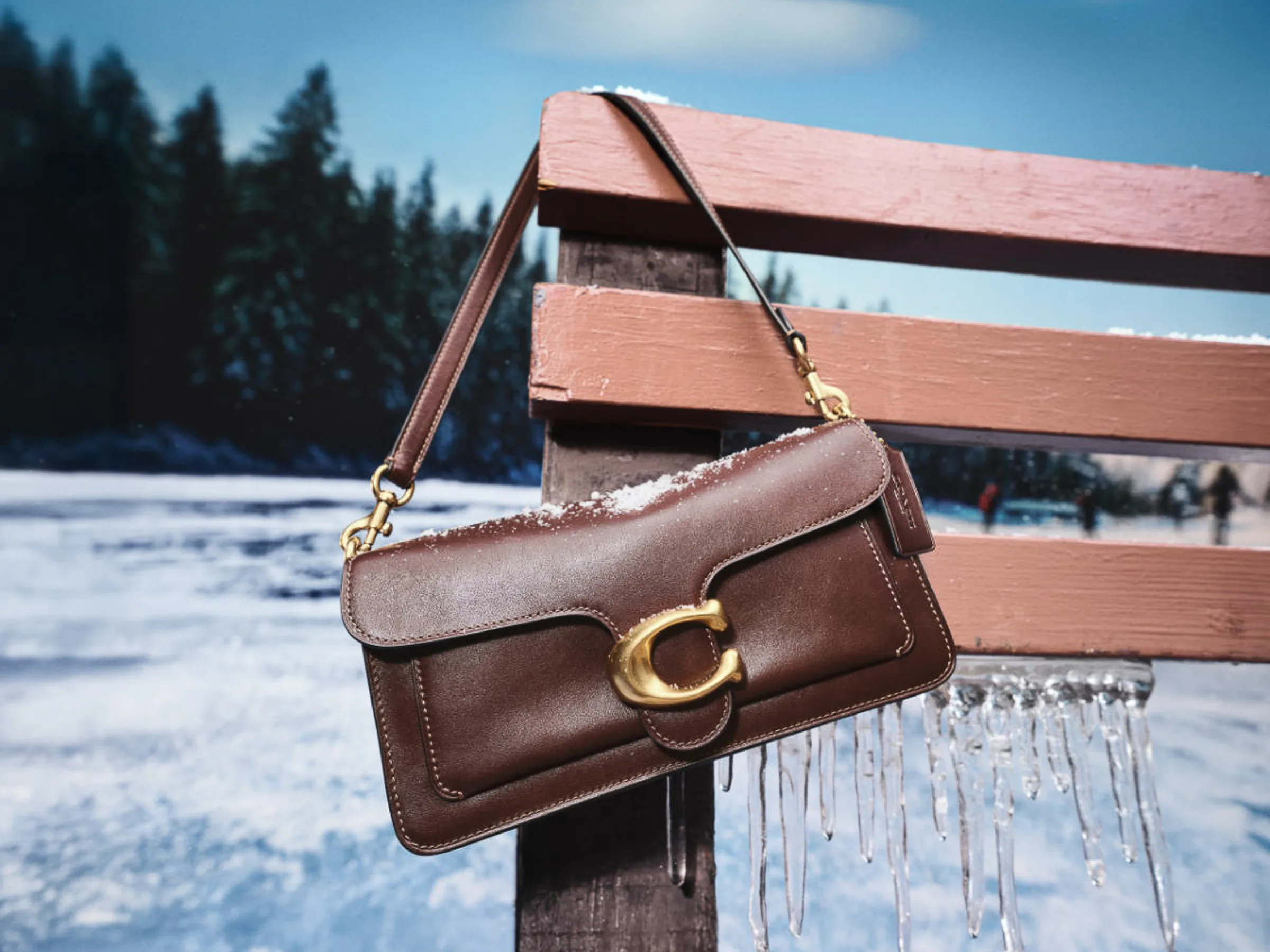 AI image of a brown leather Tabby shoulder bag with gold C hardware hanging on an icy bench by a frozen lake, for Coach.