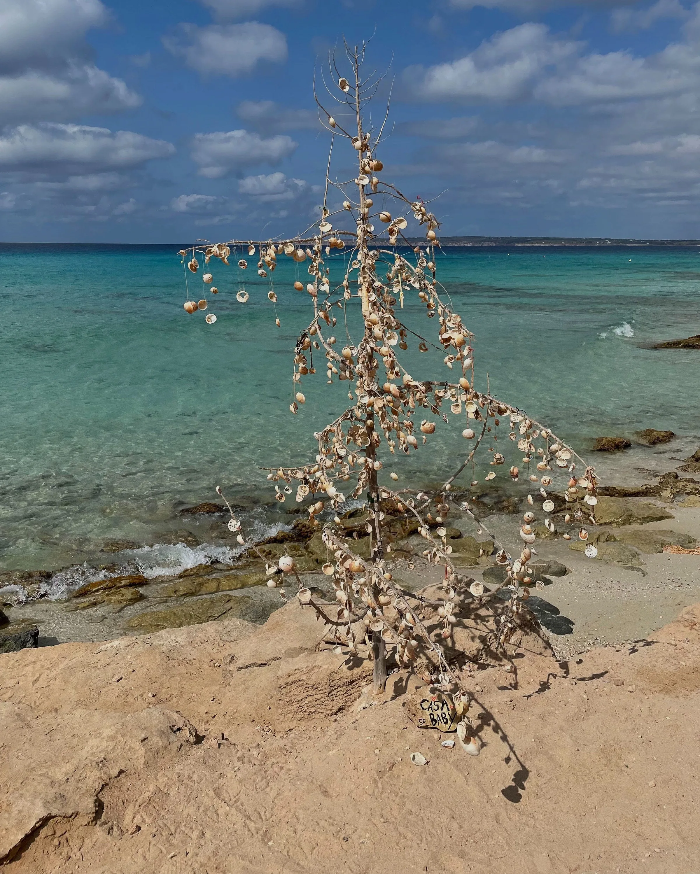 Bare tree hung with seashells on a sandy rock ledge above turquoise sea under a cloudy blue sky.