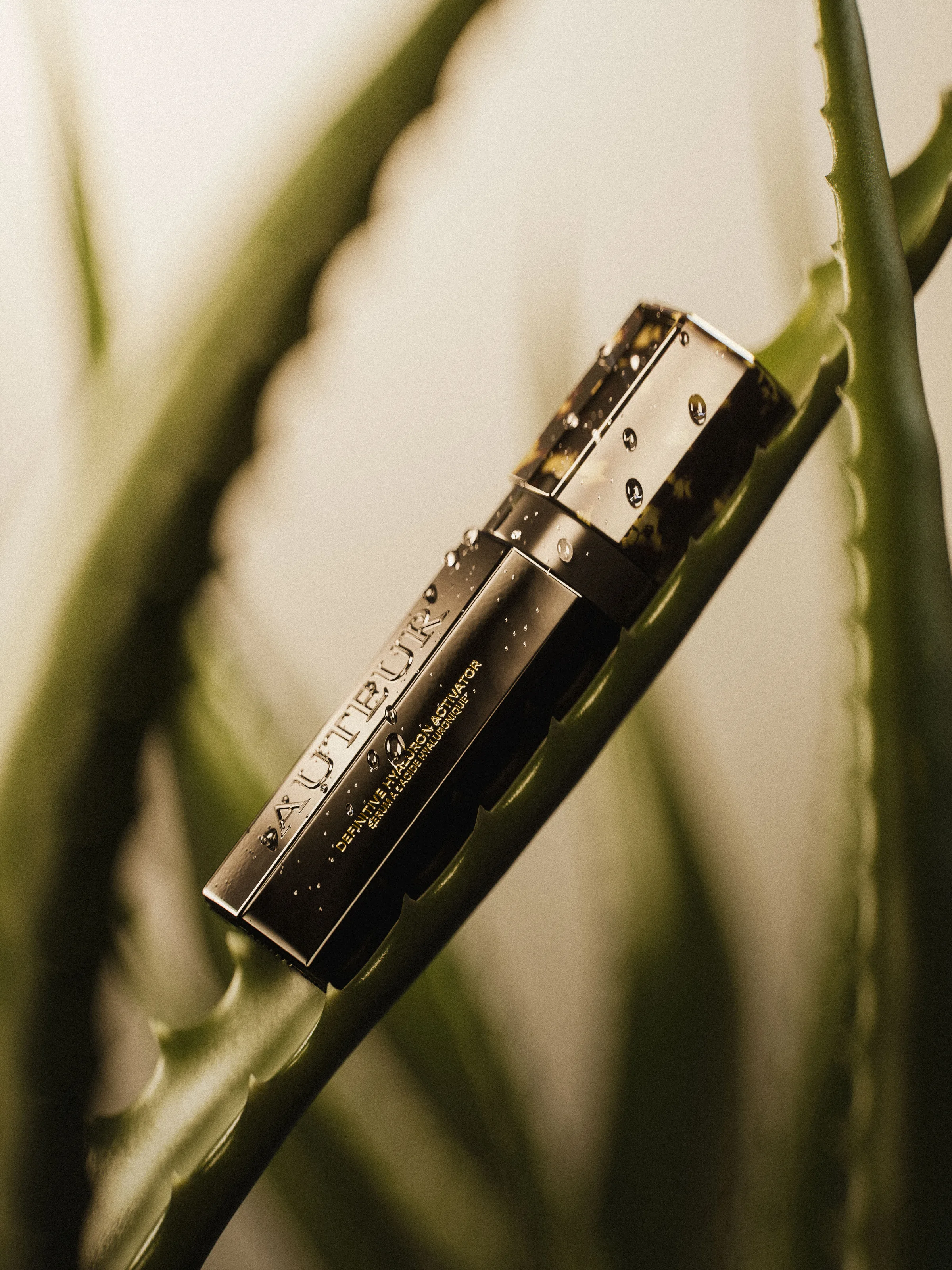 CGI render of a black and gold serum bottle with water droplets resting on an aloe leaf, for Auteur.