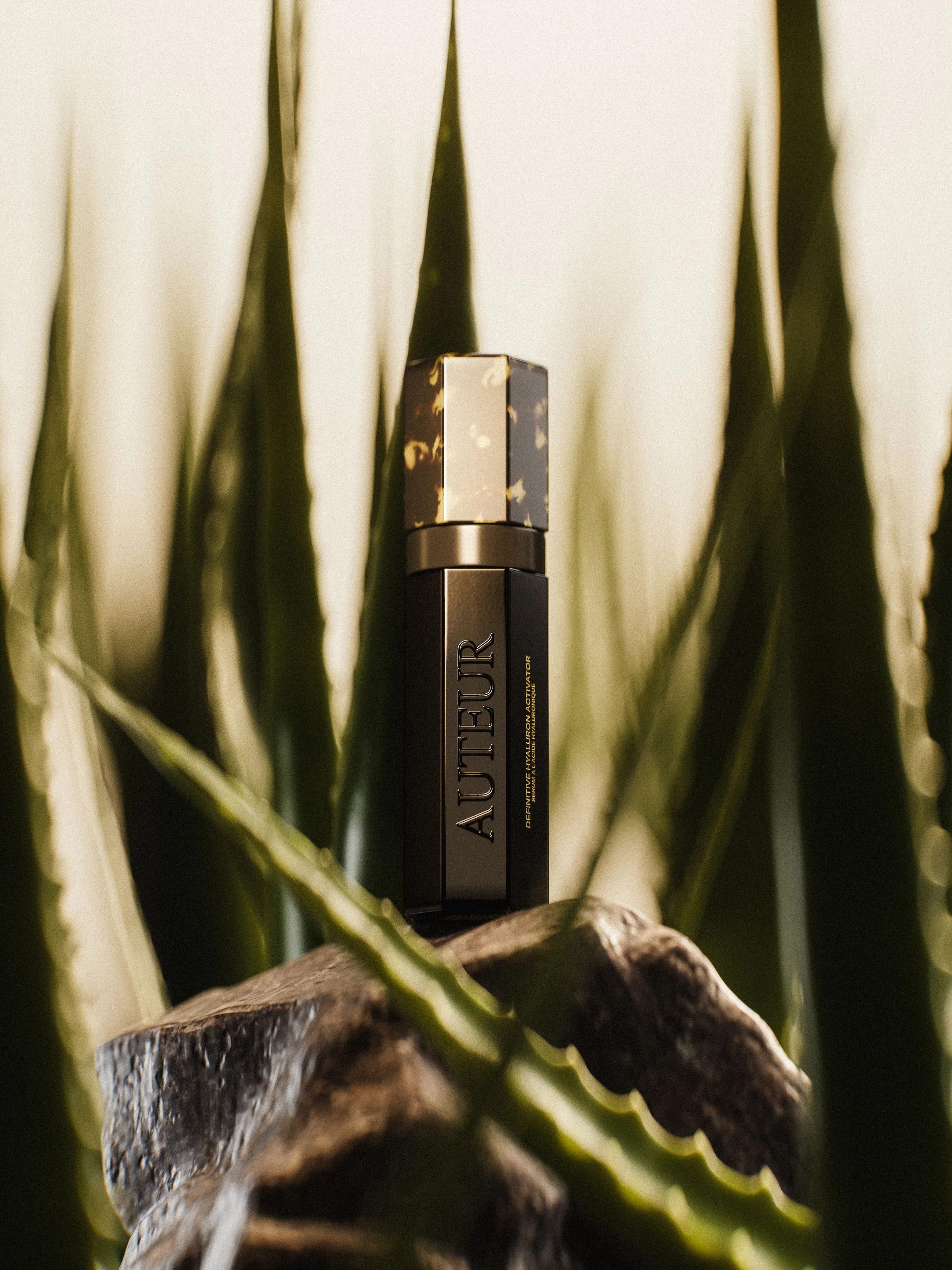 CGI render of a black and gold Auteur serum bottle on a rock among spiky agave leaves in warm light, for Auteur.