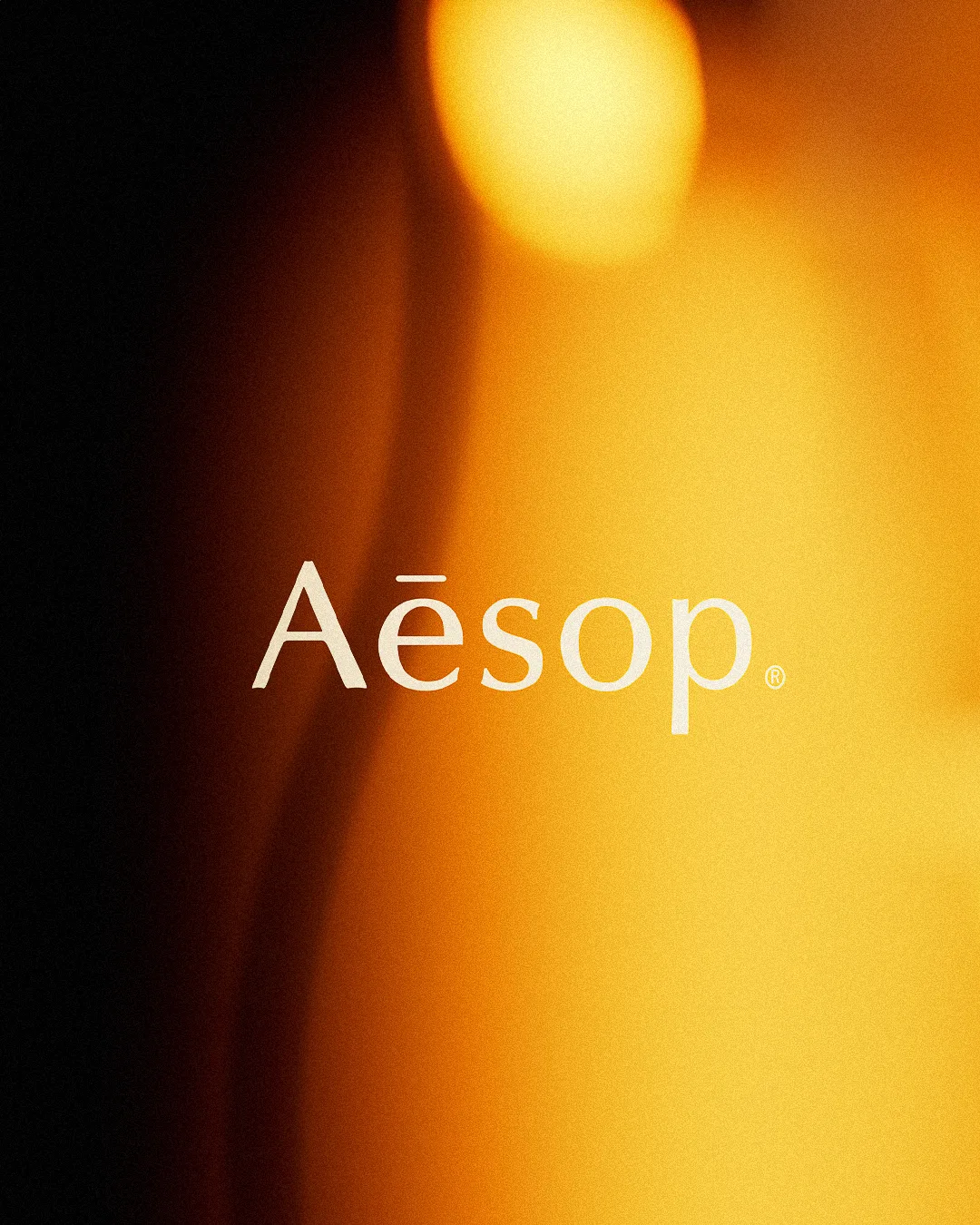 Cream logo over a blurred amber and black background with soft glowing light, for Aesop.