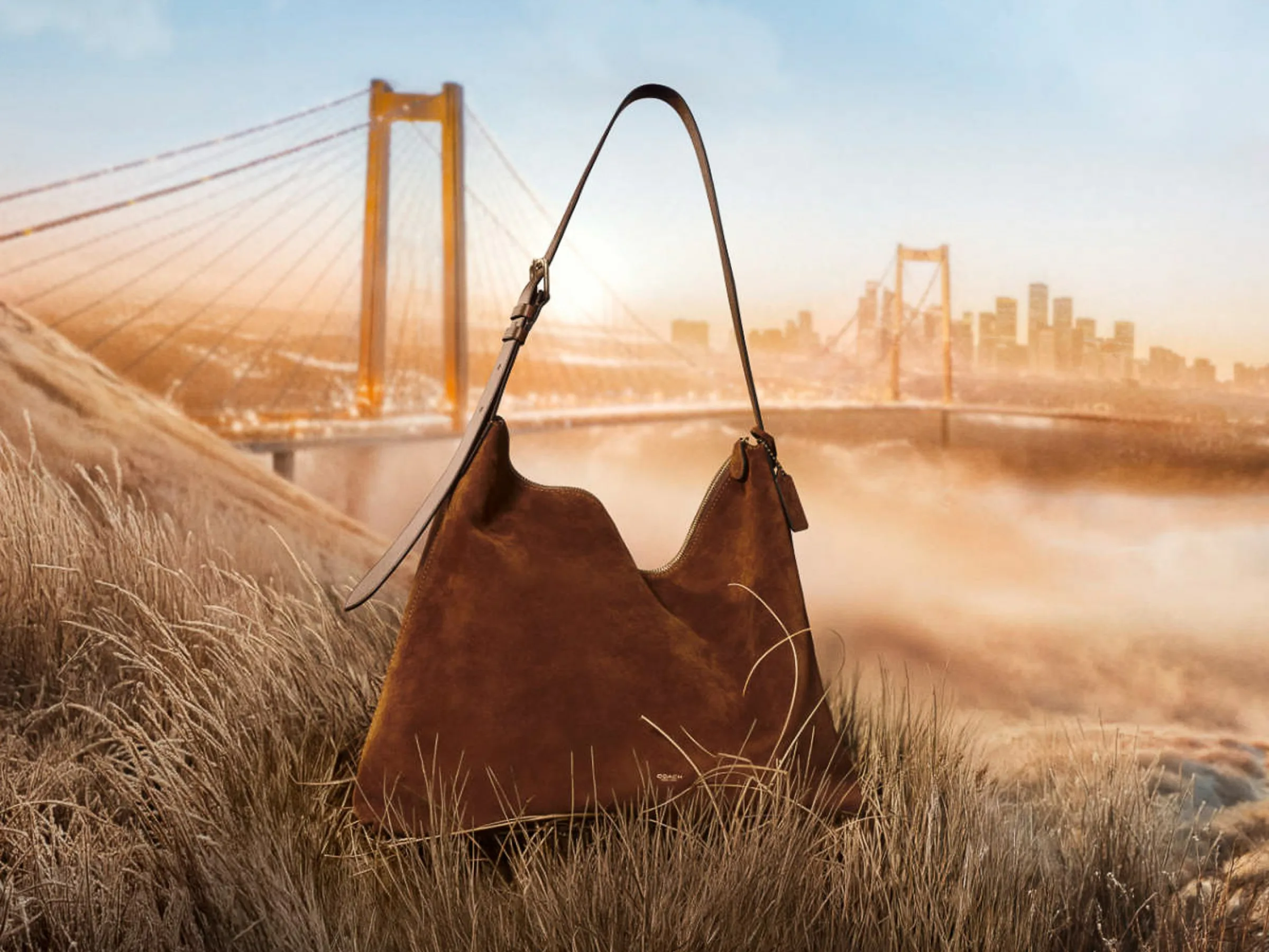 AI image of a brown suede hobo bag in tall grass before a misty suspension bridge and city skyline, for Coach.