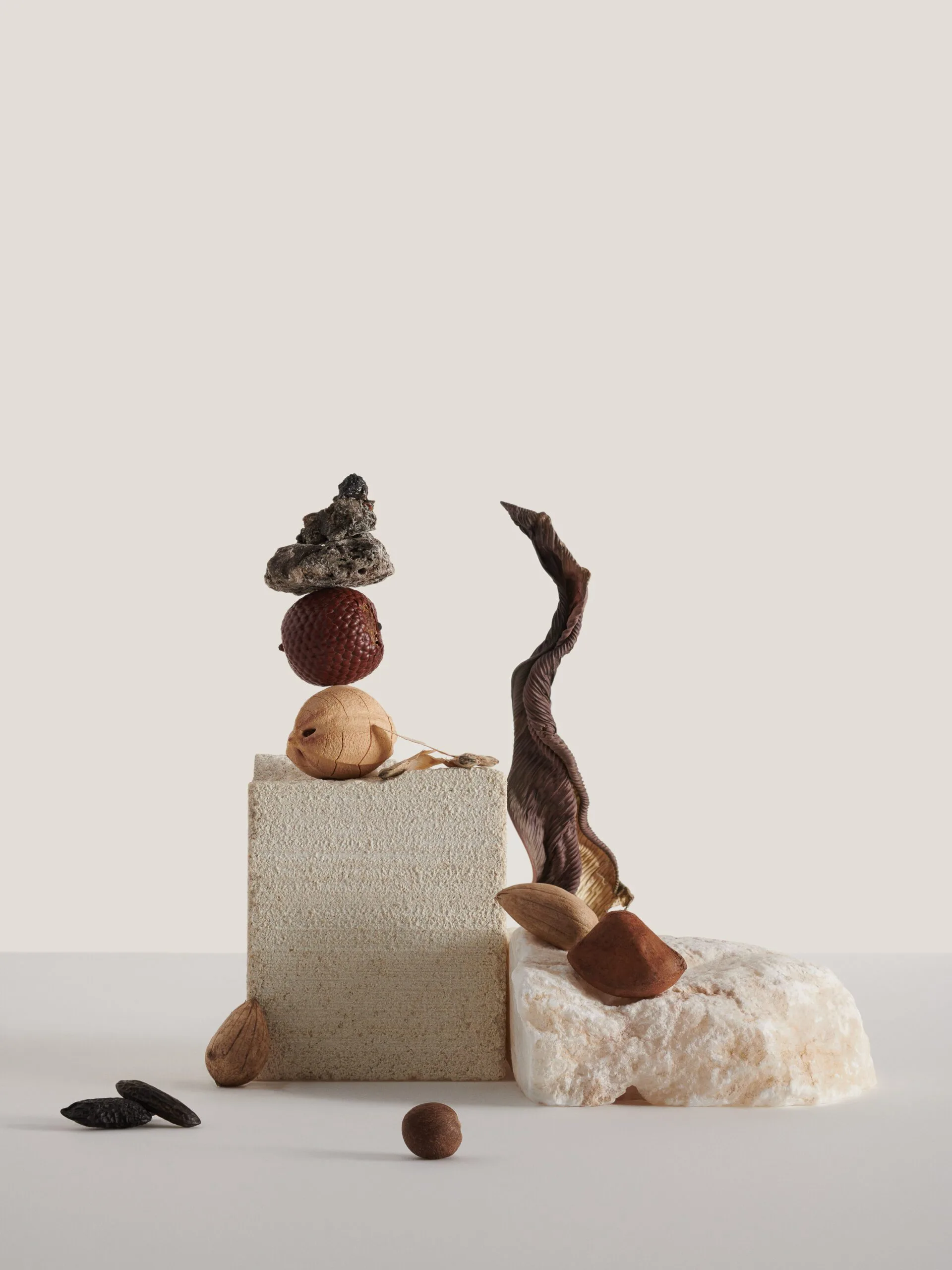 Still life of stacked seeds, nuts and a dried leaf on sandstone and marble blocks against a cream backdrop, for Costa Brazil.