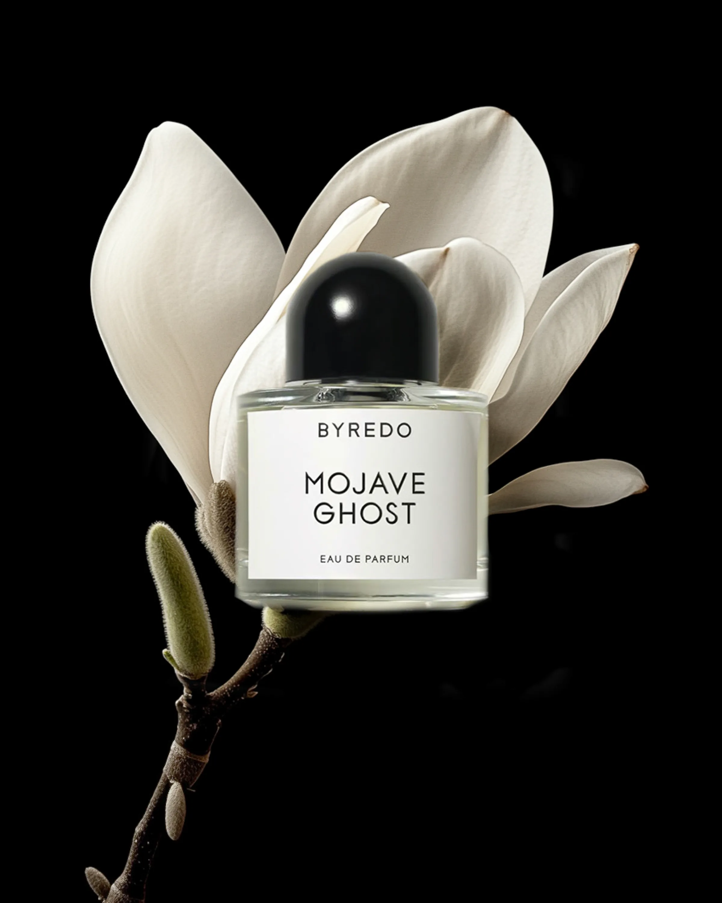 AI image of a Mojave Ghost perfume bottle set against a white magnolia blossom on a black background. Byredo AI Concept.