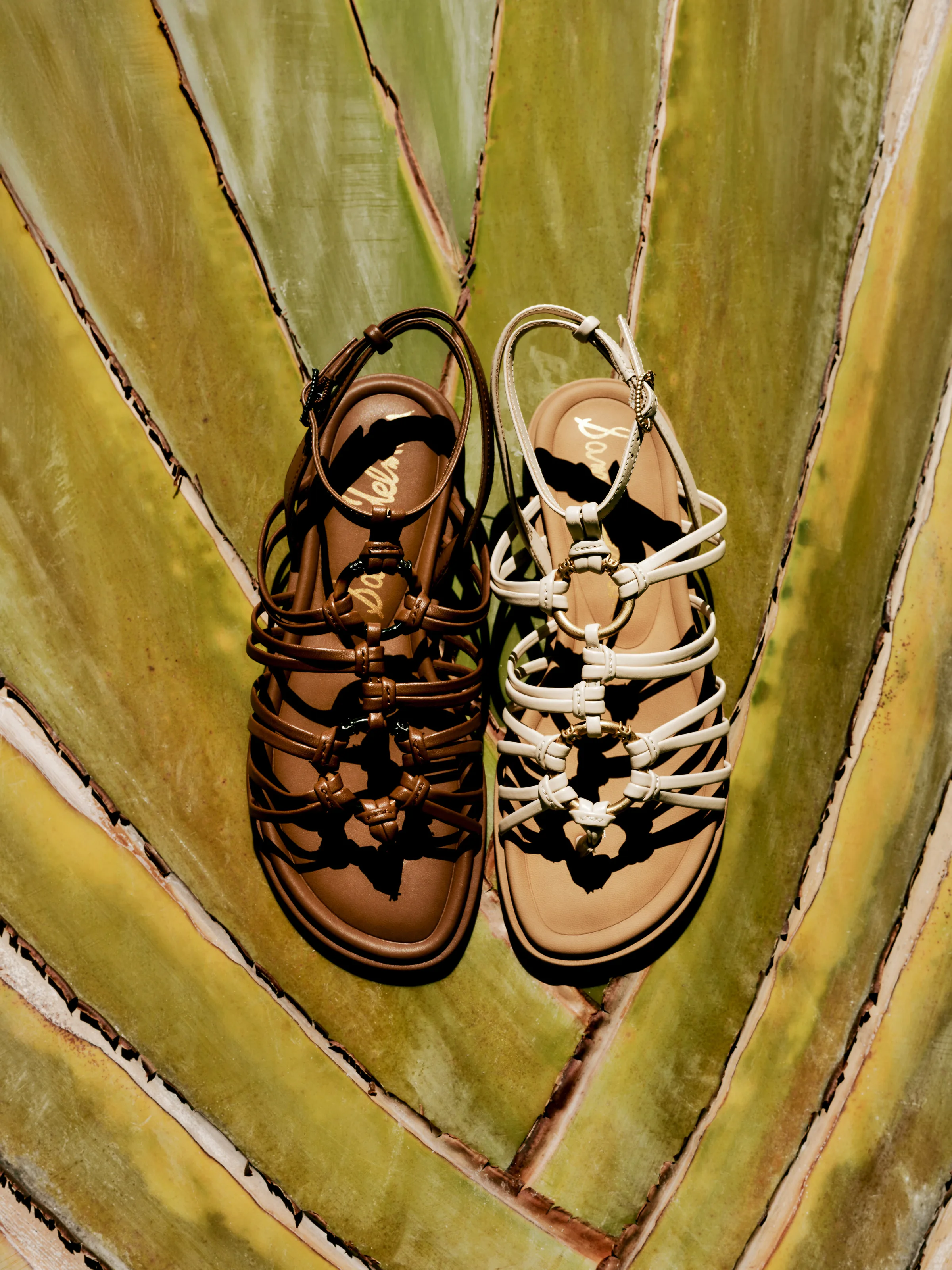 Brown and cream knotted strappy flat sandals laid on a green palm frond in bright sunlight, for Sam Edelman.