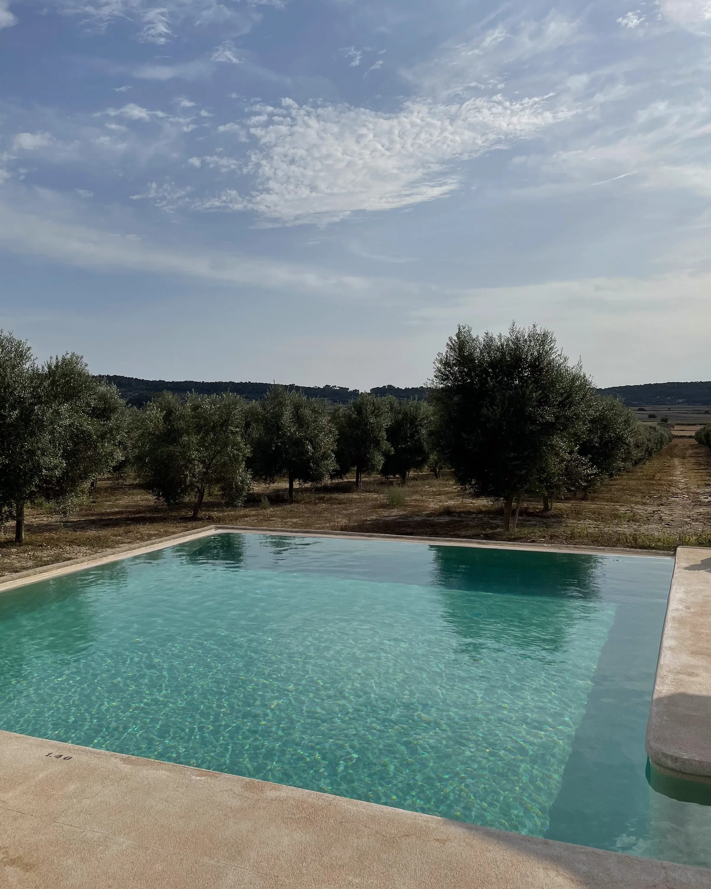 Turquoise stone-edged swimming pool overlooking an olive grove under a cloudy blue sky, shot phone-style.