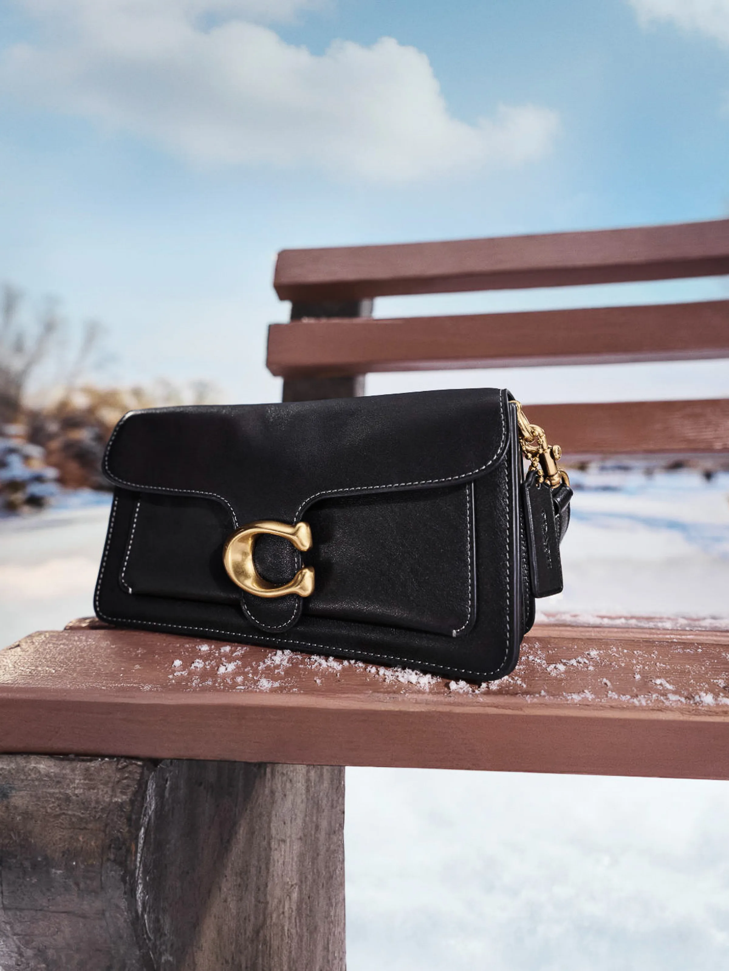 AI image of a black leather Tabby shoulder bag with brass C clasp on a snow-dusted wooden bench, for Coach.