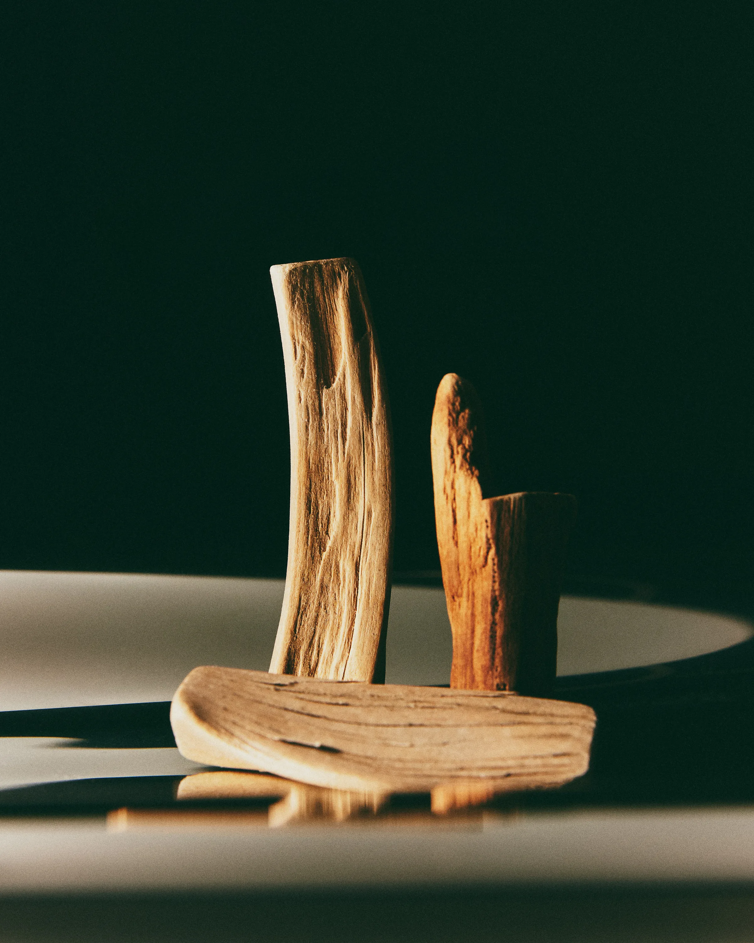 Still life of sandalwood pieces on a pale curved surface against a black background, for Kylie Cosmetics.