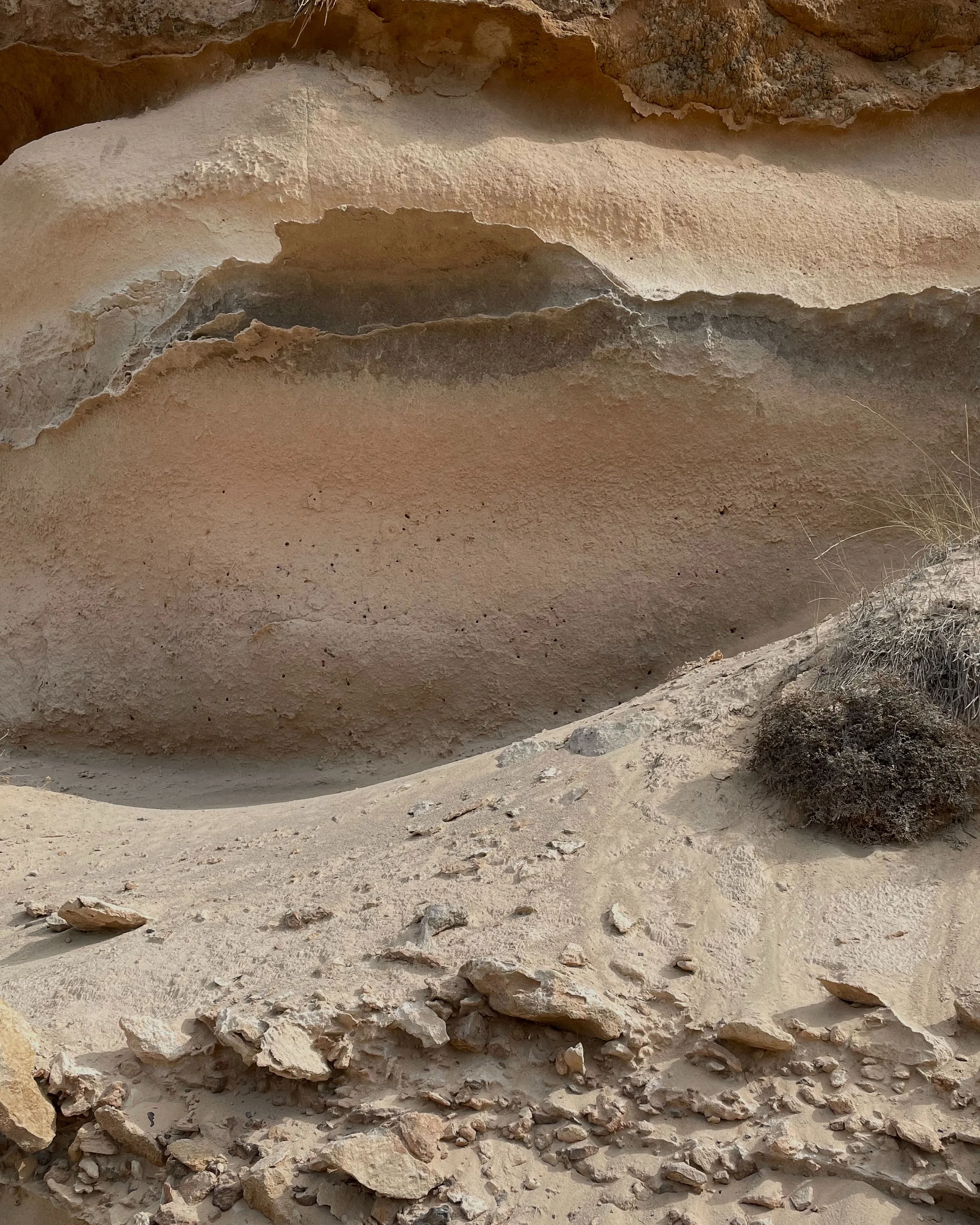 Layered sandstone cliff wall curving over sandy ground with loose rocks and a dry shrub in soft daylight.