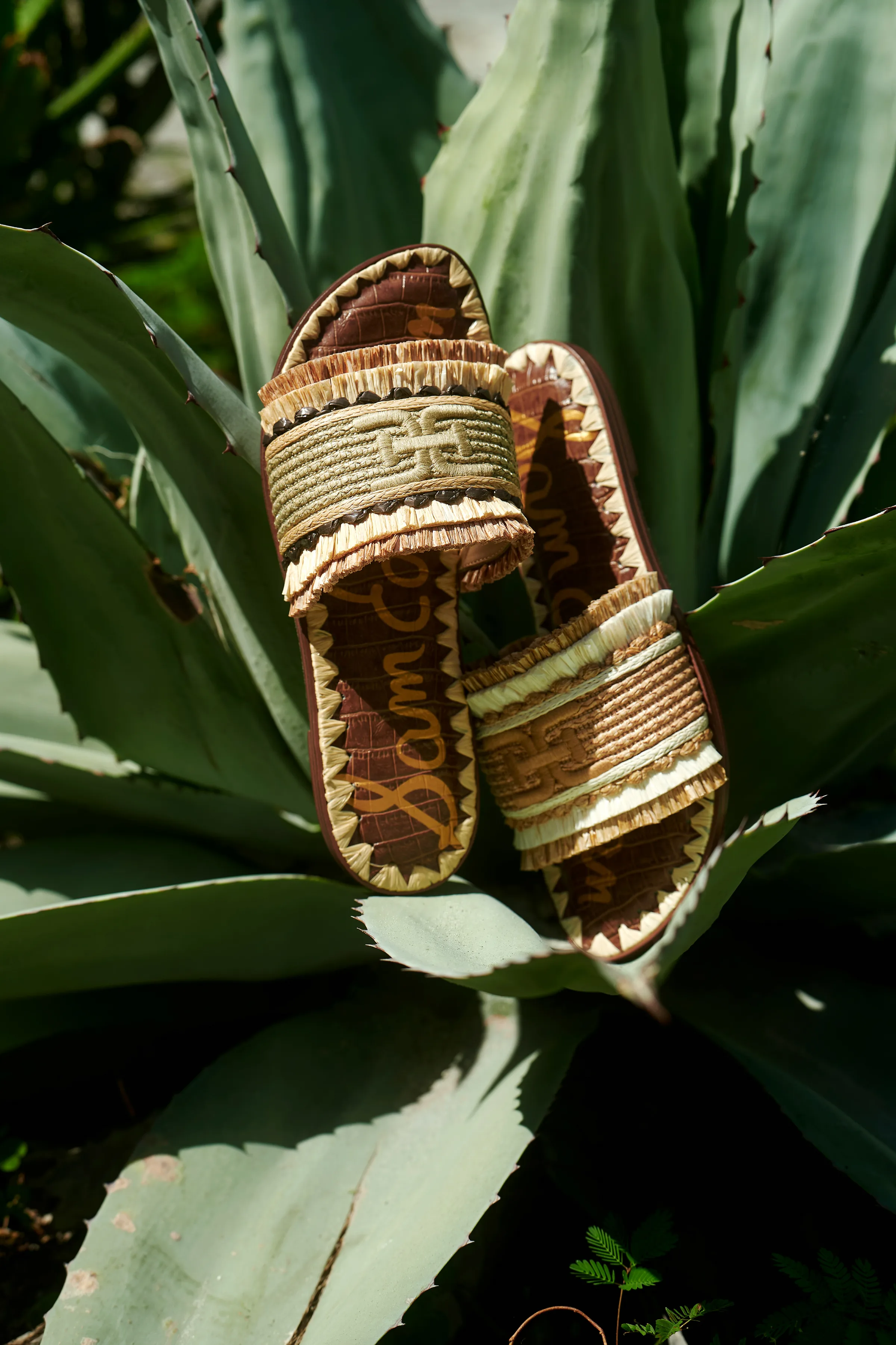 Woven raffia slide sandals with fringe trim and croc-embossed footbeds resting on a sunlit agave plant, for Sam Edelman.