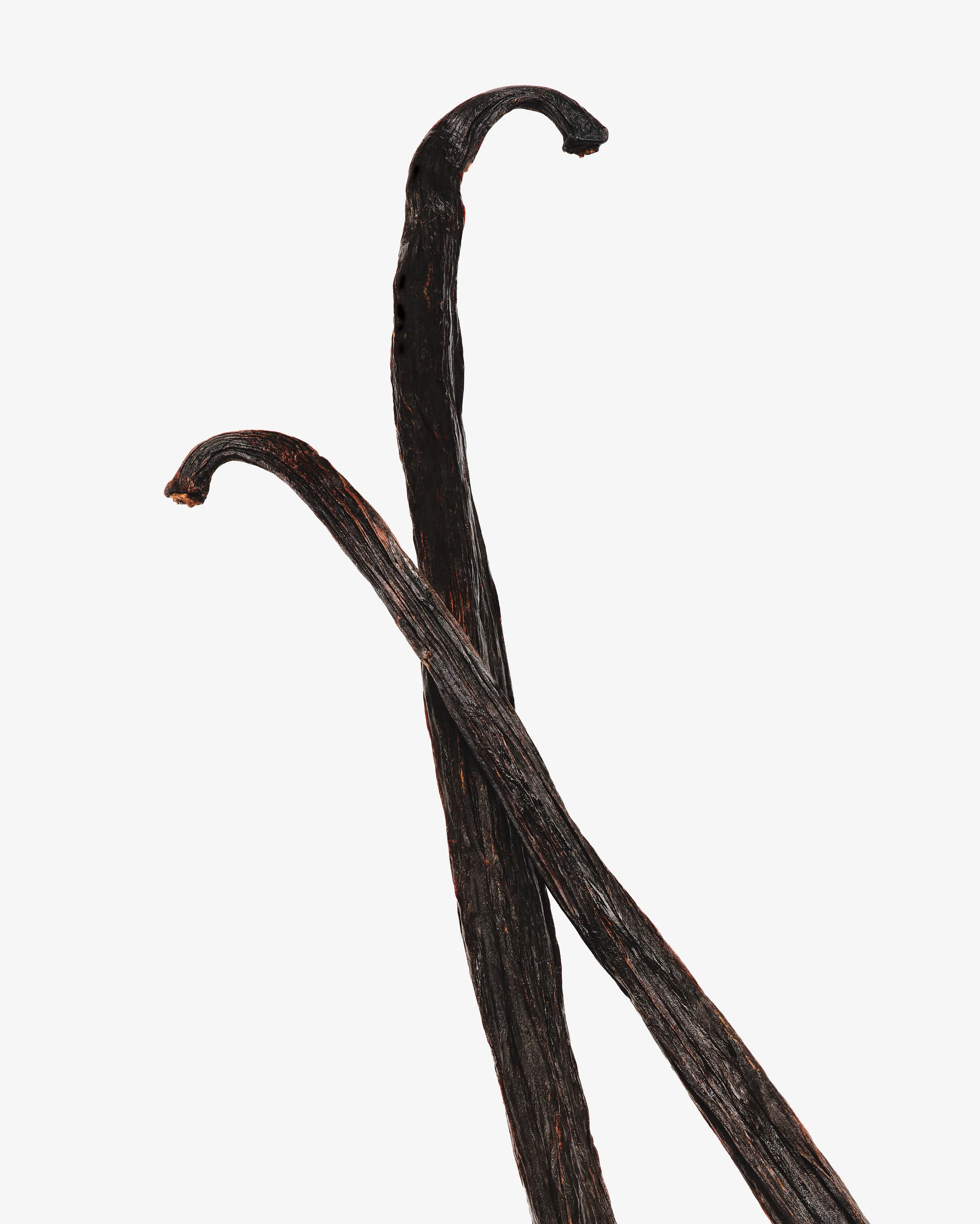 Still life of two dark cured vanilla beans crossing against a pale grey background, for Kylie Cosmetics.