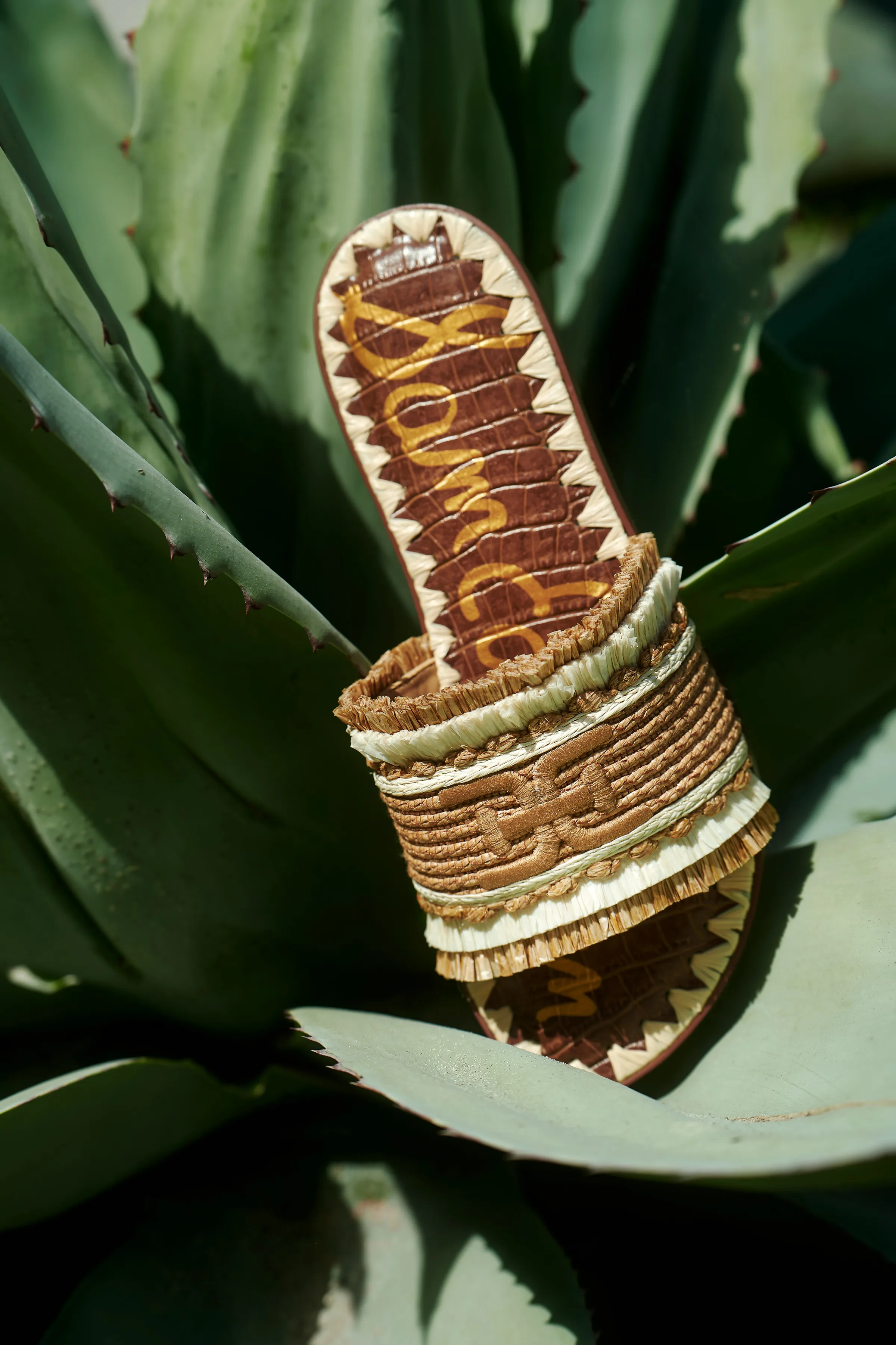 Brown croc-embossed slide sandal with woven raffia strap resting on a green agave plant in sunlight, for Sam Edelman.