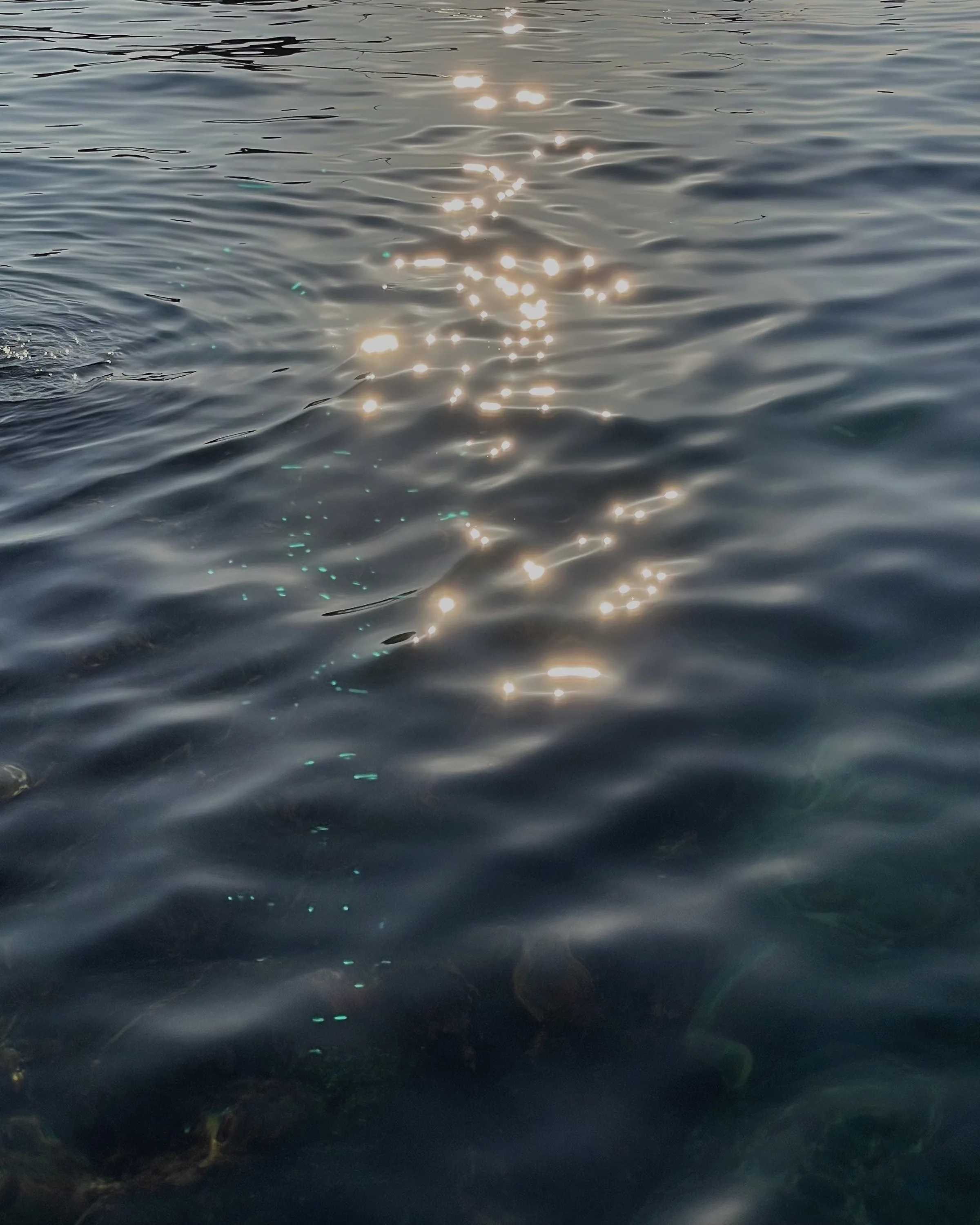 Sunlight glinting off rippling dark sea water, with seaweed visible beneath the clear surface.